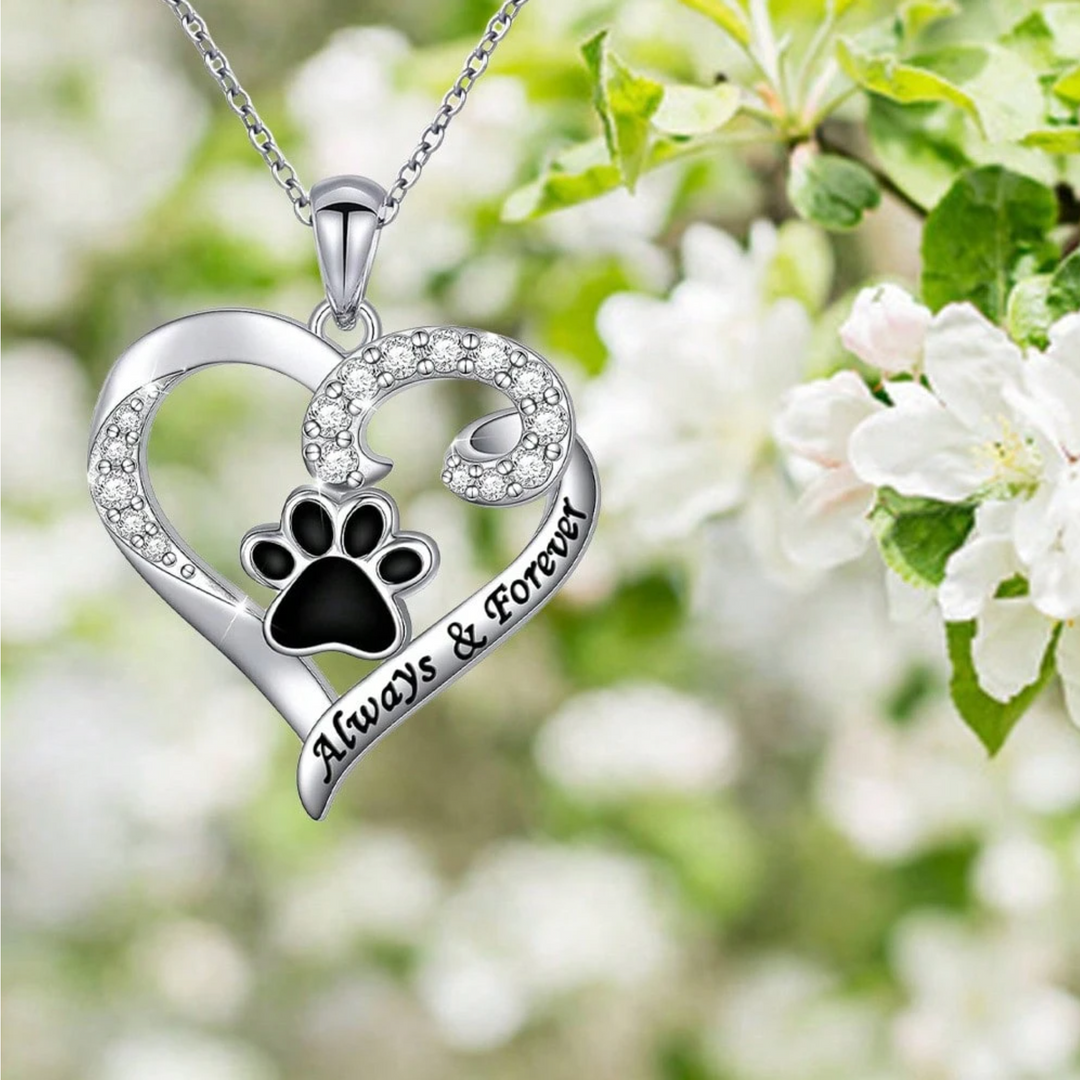 Collana con zampa di cane – Design a cuore in acciaio inossidabile con zirconi